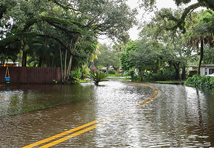 hurricane preparedness