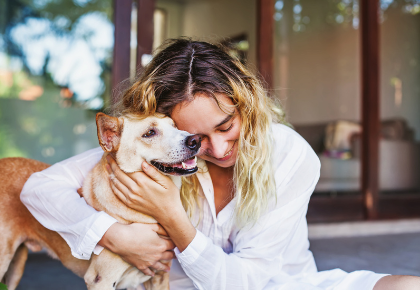 neighbour pet complaints