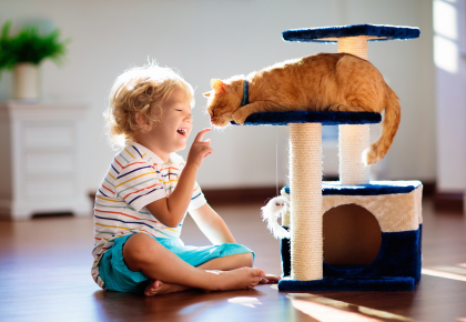 Pet policies for condominiums