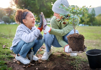 northern california hoa landscaping