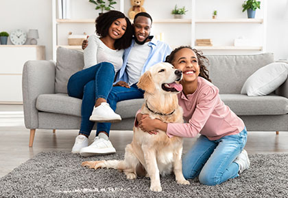 minnesota hoa bylaws