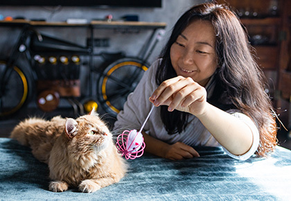 pets in rental properties