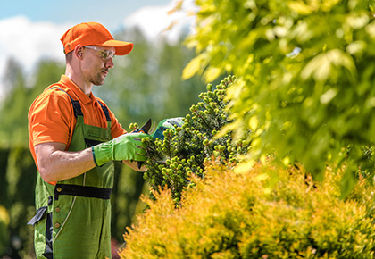 community landscape management