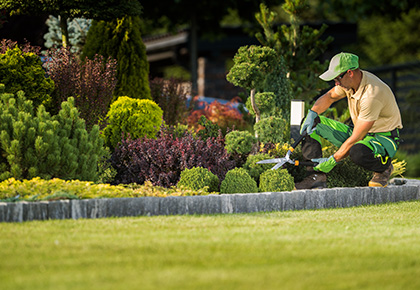 HOA landscaping maintenance tips