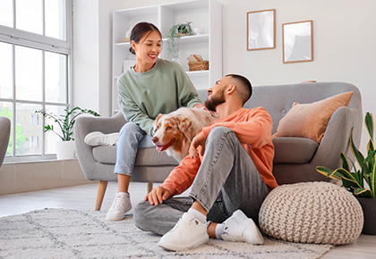 illinois property management