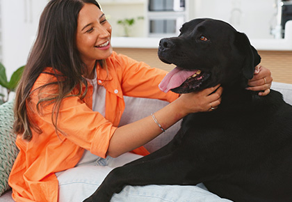 Missouri emotional support animal laws