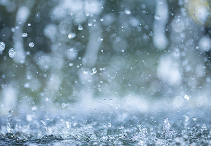 South carolina flood insurance
