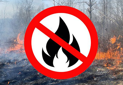 How to prevent wildfires