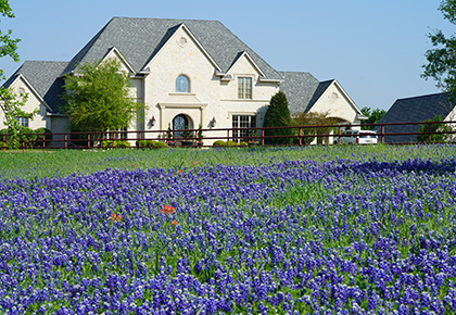 texas condo and hoa management