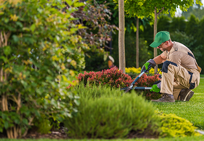 hoa landscape maintenance