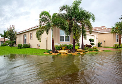 flood_420x290.jpg flood_420x290.jpg