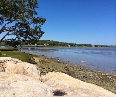 bay farm