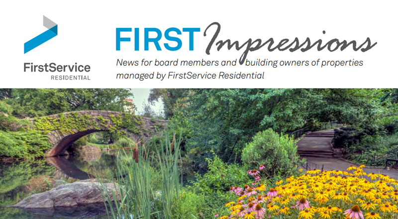 First-Impressions-News-Letter-July-Aug.PNG