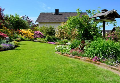 landscape and maintenance