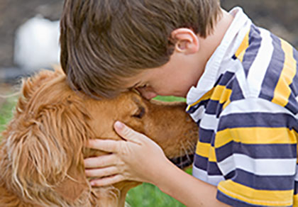 How to Set Condo Pet Policies For Your Community