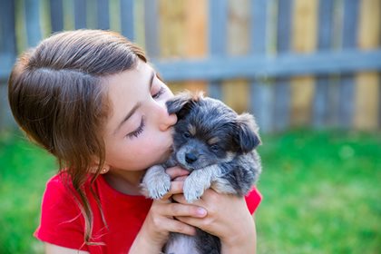 Creating a pet friendly community in your HOA