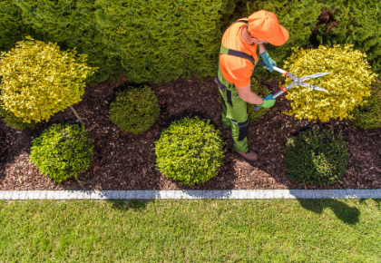 Vendor Management Man Trimming Hedges Birds Eye View