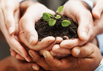 Close up of hands cupping each other with top hands holding dirt with a plant coming out of it